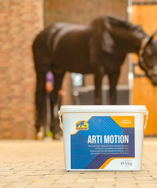 Cavalor Arti Motion