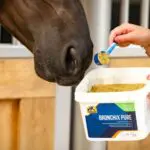 Cavalor Bronchix Pure