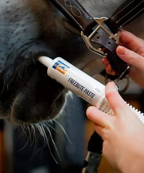 Cavalor FreeBute Pro Paste