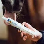 Cavalor Lactatec Paste