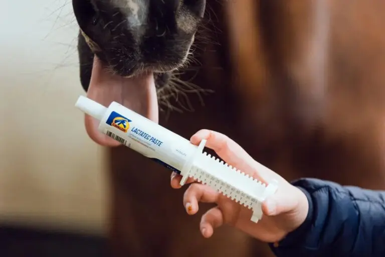Cavalor Lactatec Paste