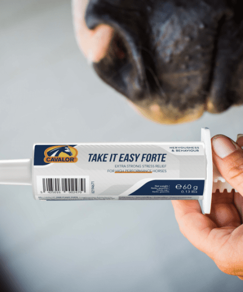 Cavalor Take It Easy Forte
